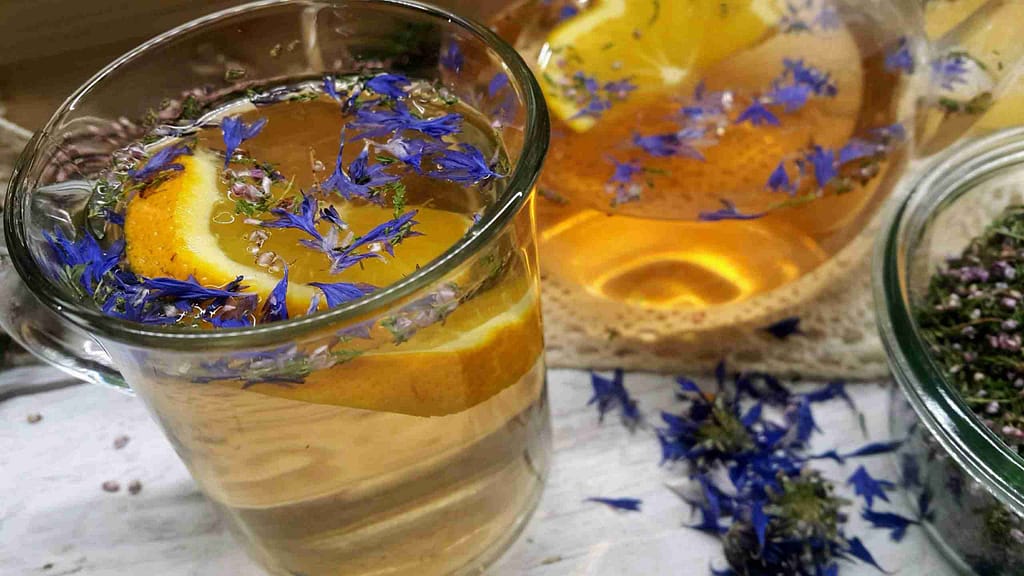 Kuidas tugevdada immuunsüsteemi talvel, kui ilmad on külmad ja päikesevalgust on vähesed tunnid. Praktilisi nõuandeid kuidas tugevdada immuunsüsteemi, et talvel